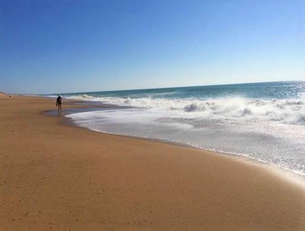 شقة Appart Breti Plage 2 - Duplex Brétignolles-sur-Mer المظهر الخارجي الصورة